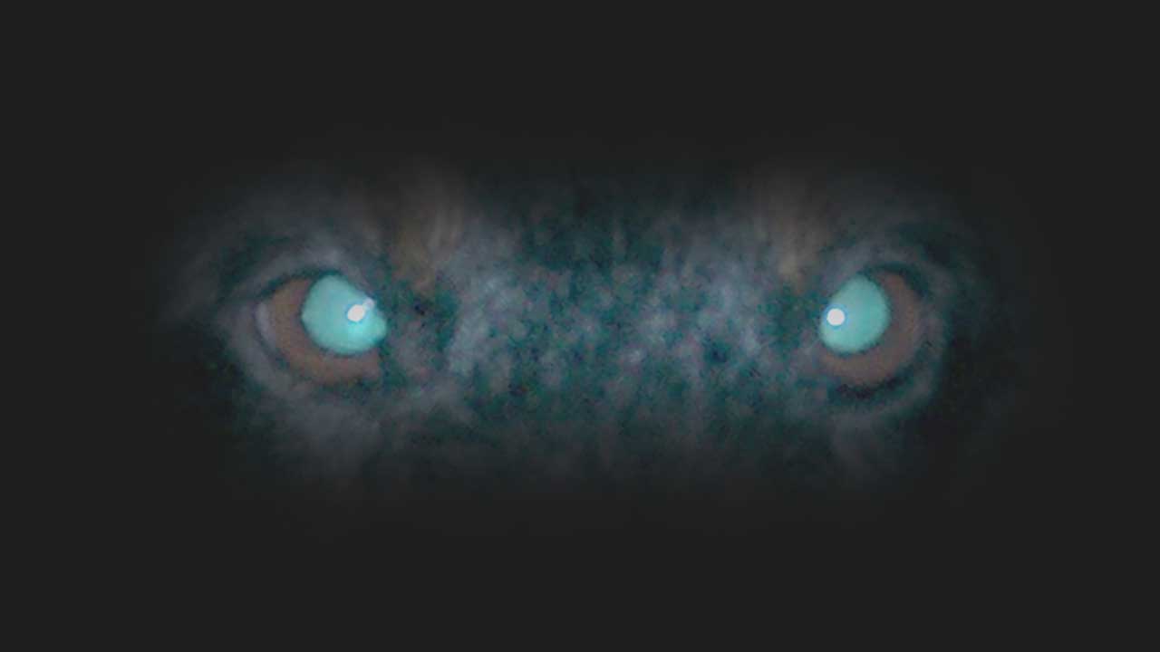 Intro visionsystem